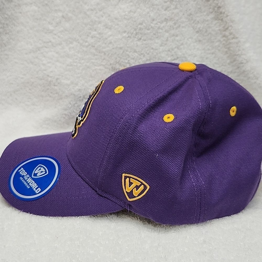 Top of the World East Carolina University Pirates Velcroback Hat - New - Picture 3 of 8